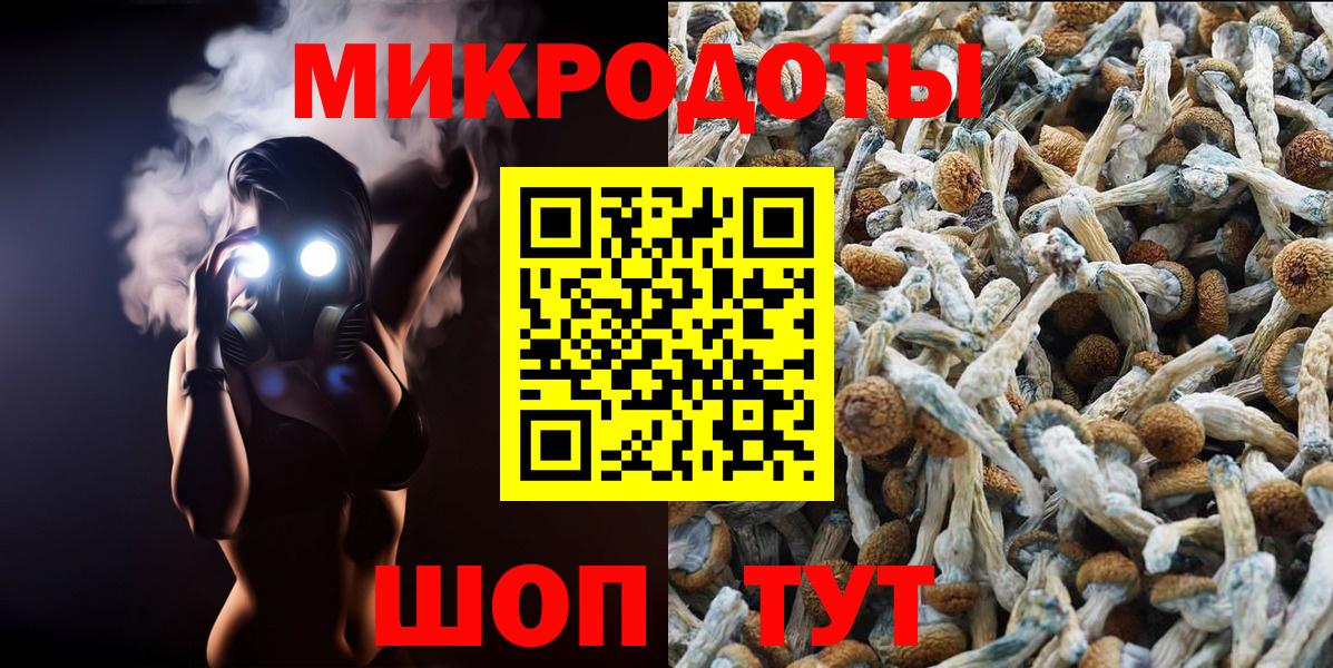 Псилоцибиновые грибы прущие грибы  Псилоцибиновые грибы GOLDEN TEACHER  Вход с VPN  Серов 